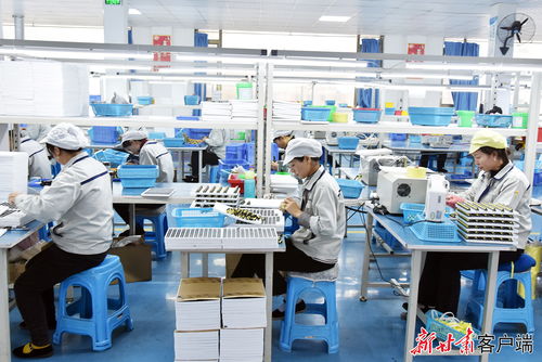 康樂 東西協作鄉村就業工廠節后復工生產忙