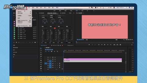pr錄音設(shè)備的開啟如何看影片錄制自己的聲音